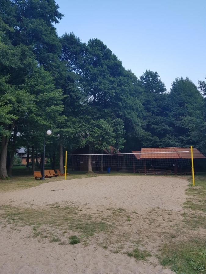 Lap Pelnik